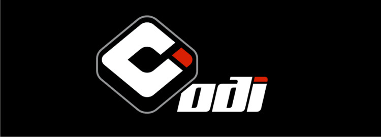 ODI_Logo