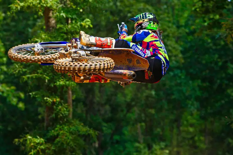 Whipitwednes_Barcia_2015