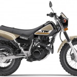 2019 Yamaha TW200