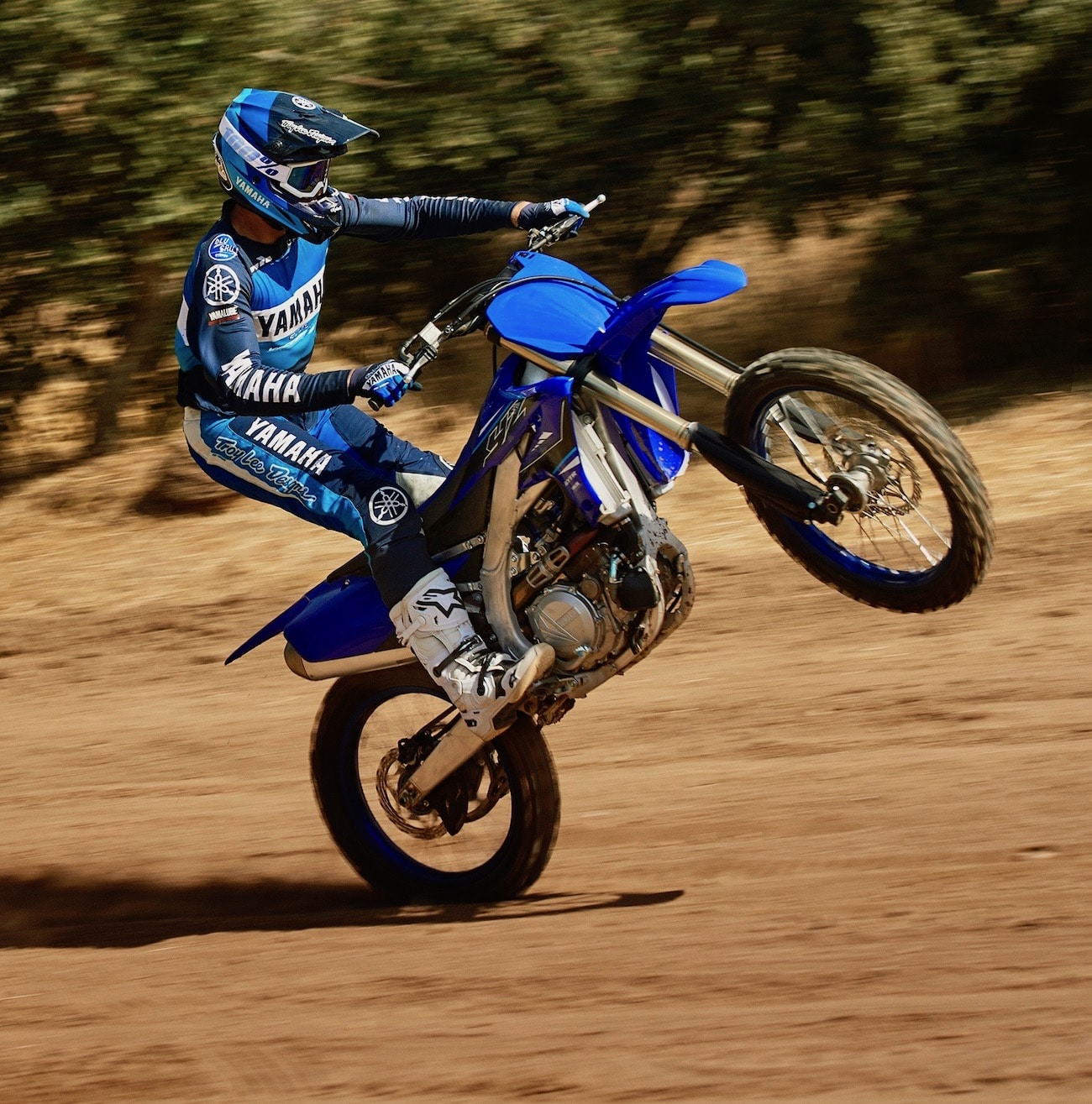 2021 Yamaha YZ250F-Monster Energy Edition