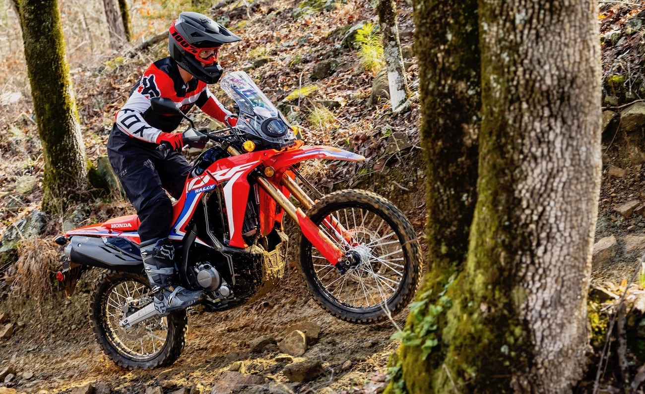 HONDA ANUNCIA DUAS BICICLETAS DUAL-SPORT PARA INICIANTES EM 2023 -  Motocross Action Magazine