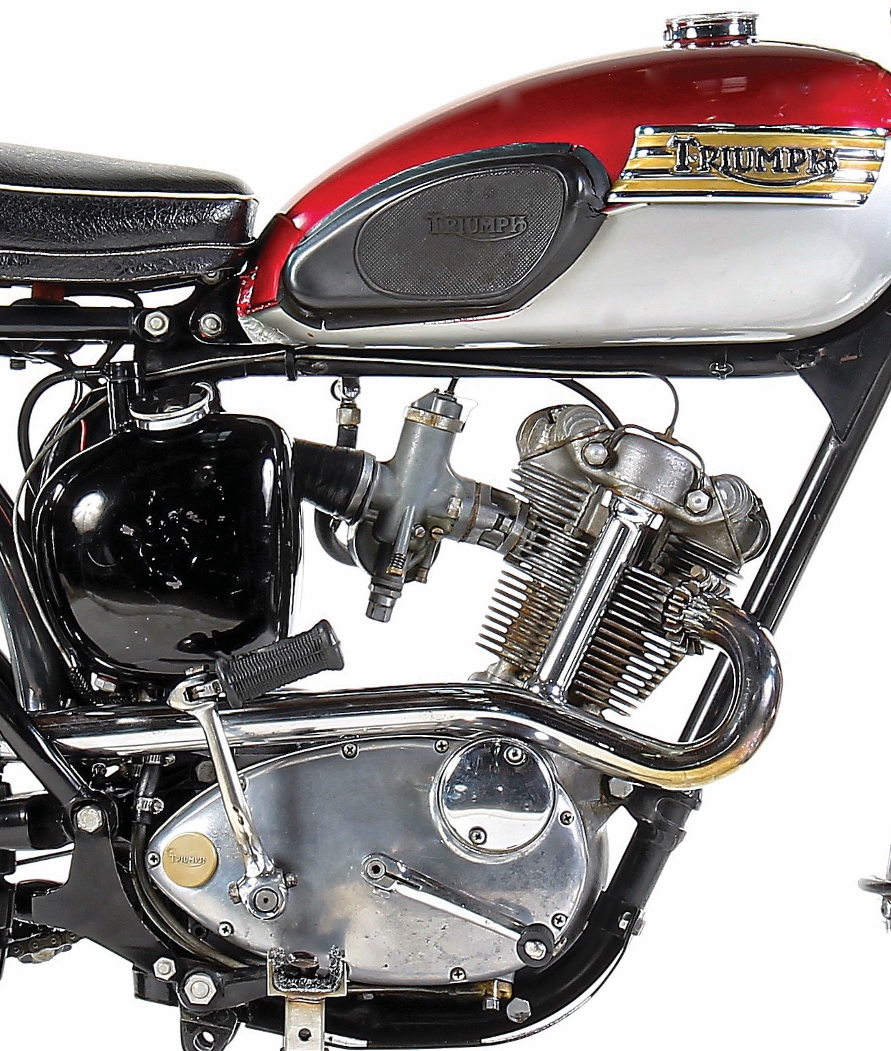 Triumph on sale tiger cup